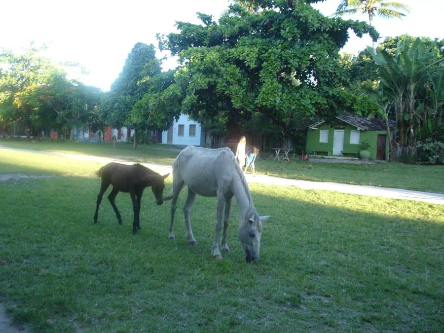 O Quadrado de Trancoso, praça histórica com igreja e casas coloridas